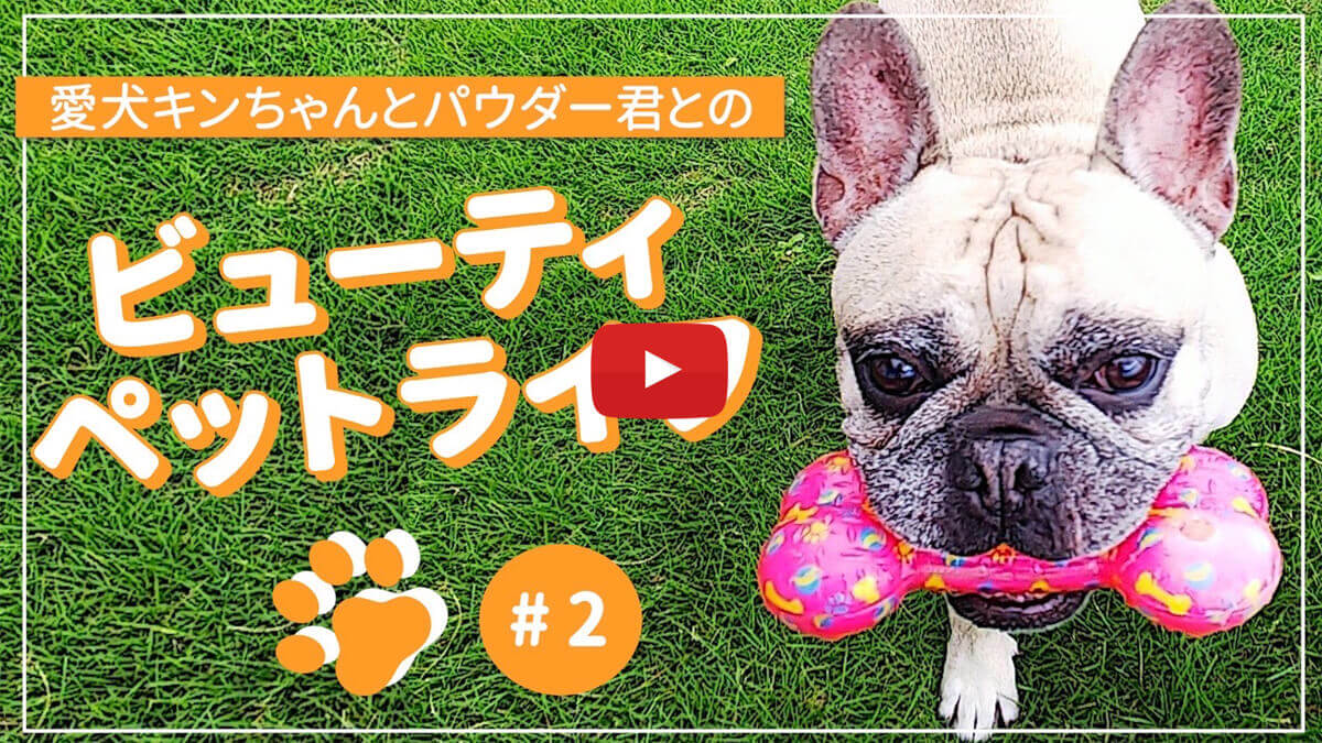 SAKURA Youtubeチャンネル #18 愛犬キンちゃんとパウダー君とのビューティペットライフ #2